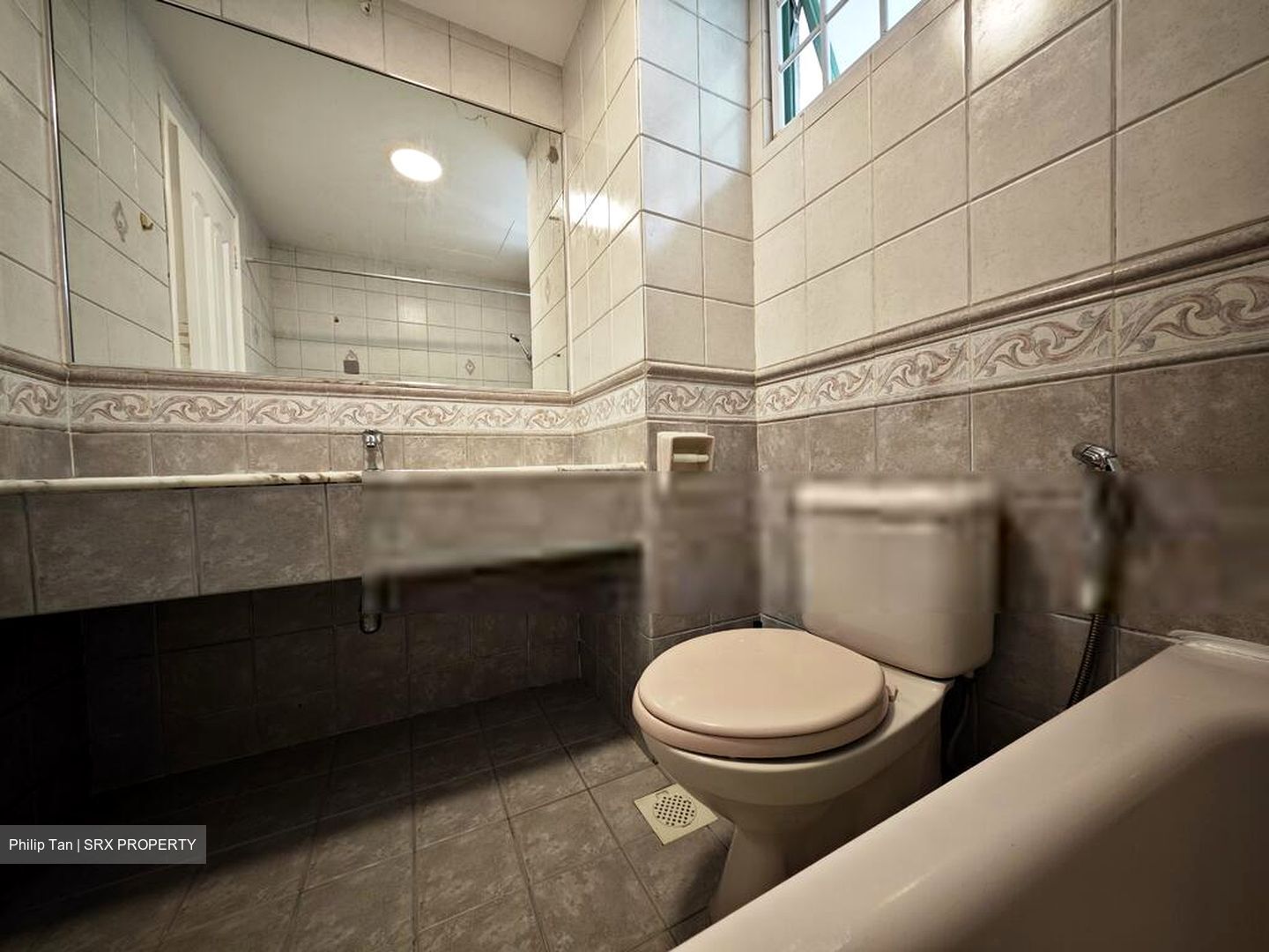 The Sunny Spring (D14), Apartment #512184731